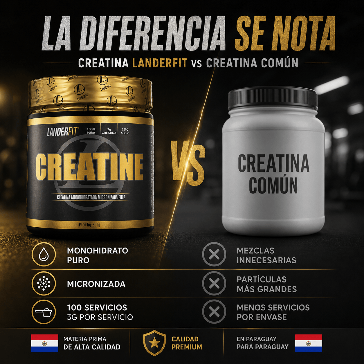 Creatina LanderFit 300gr
