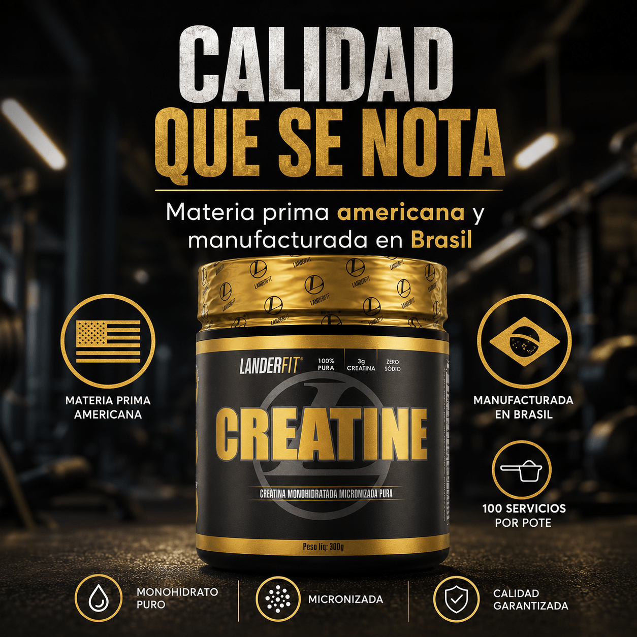 Creatina LanderFit 300gr