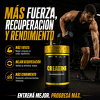 Creatina LanderFit 1kg